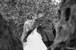 Photographie de mariés de dos derrière un arbre en noir et blanc réalisée par Huitièm'art, photographe de mariage à Avignon (Vaucluse)