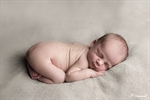 Photographie d'un nouveau né en position foetale réalisée par noelle gamand photographe nouveau né à avignon vaucluse
