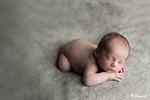 Photographie d'un nouveau né à plat ventre main sous menton qui dort réalisée par noelle gamand photographe nouveau né avignon vaucluse