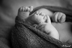 Photographie en noir et blanc  de petits pieds et main de bébé réalisée par noelle gamand photographe nouveau né avignon vaucluse